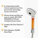 vitapure bubble vitamin c showerhead filter